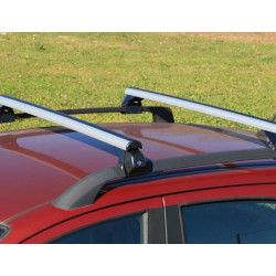 Roof bars "la Prealpina" 124 cm for Dacia Duster, Toyota Rav 4 with handrail rails 2013+
