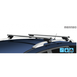 Car roof bars with railing (longitudinal handrail)